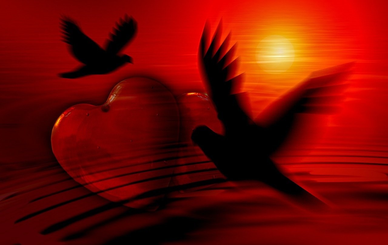 Timeless Emblems of Affection - Meanings, Roots, and Real-Life Uses