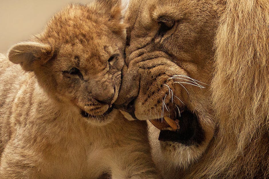 When Attachment Deepens: Understanding the Shift from Spark to Bond