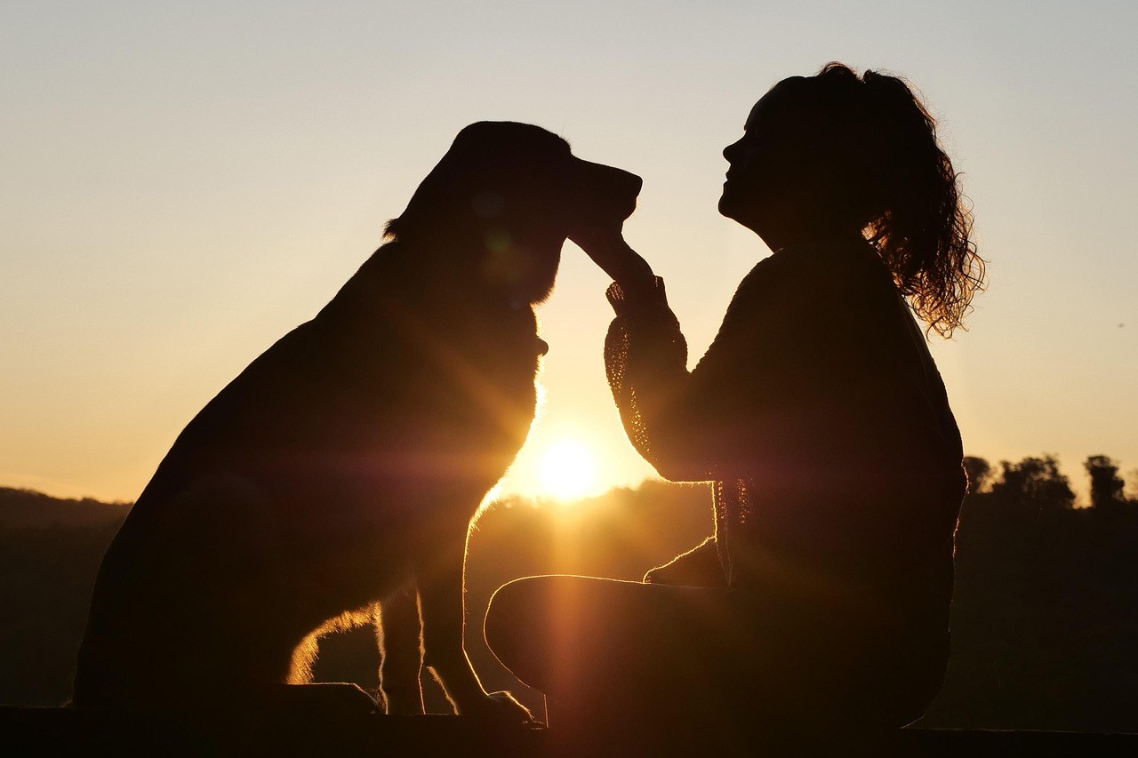Understanding How You Bond: A Guide to Attachment Styles