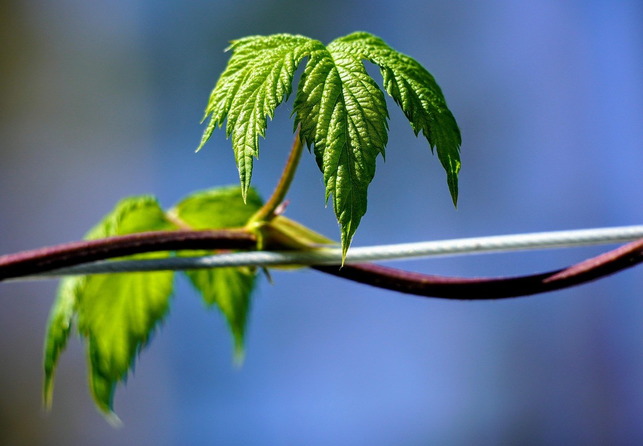 A Compassionate Way to Close a Long Relationship and Start Anew