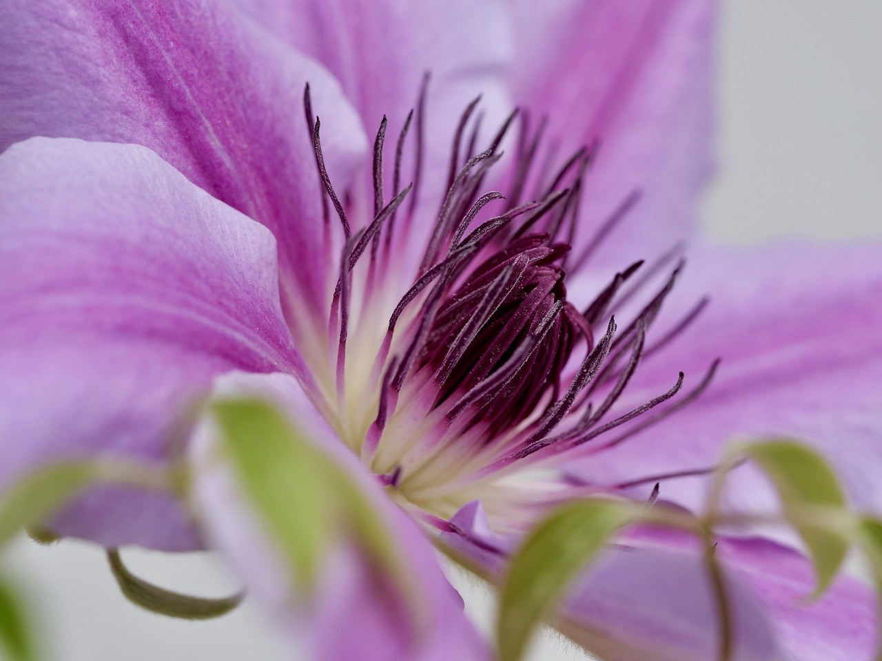 From Warmth to Romance: Turning a Close Bond into Lasting Affection