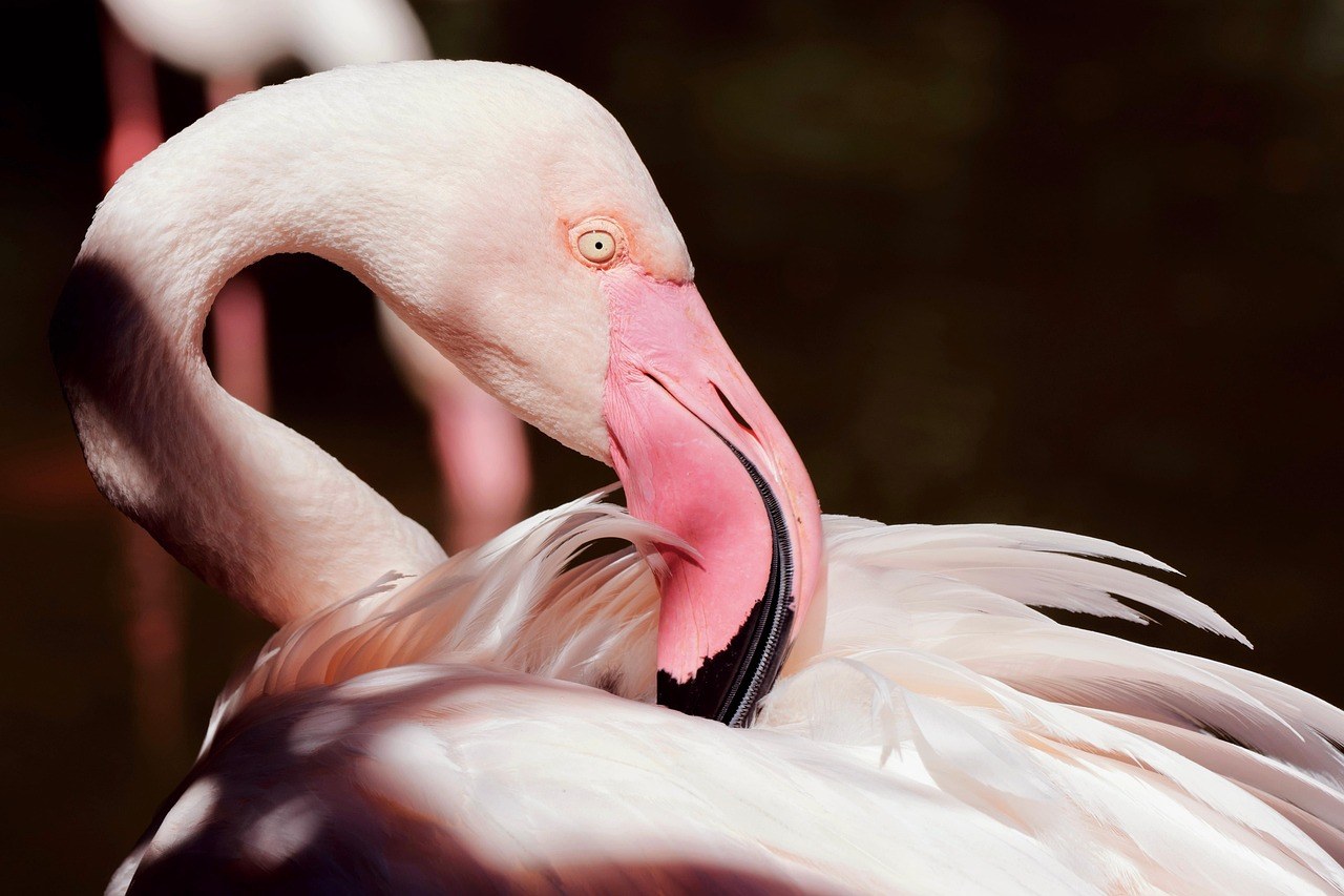 When Friendship Starts Undermining Love: How to Recognize and Respond