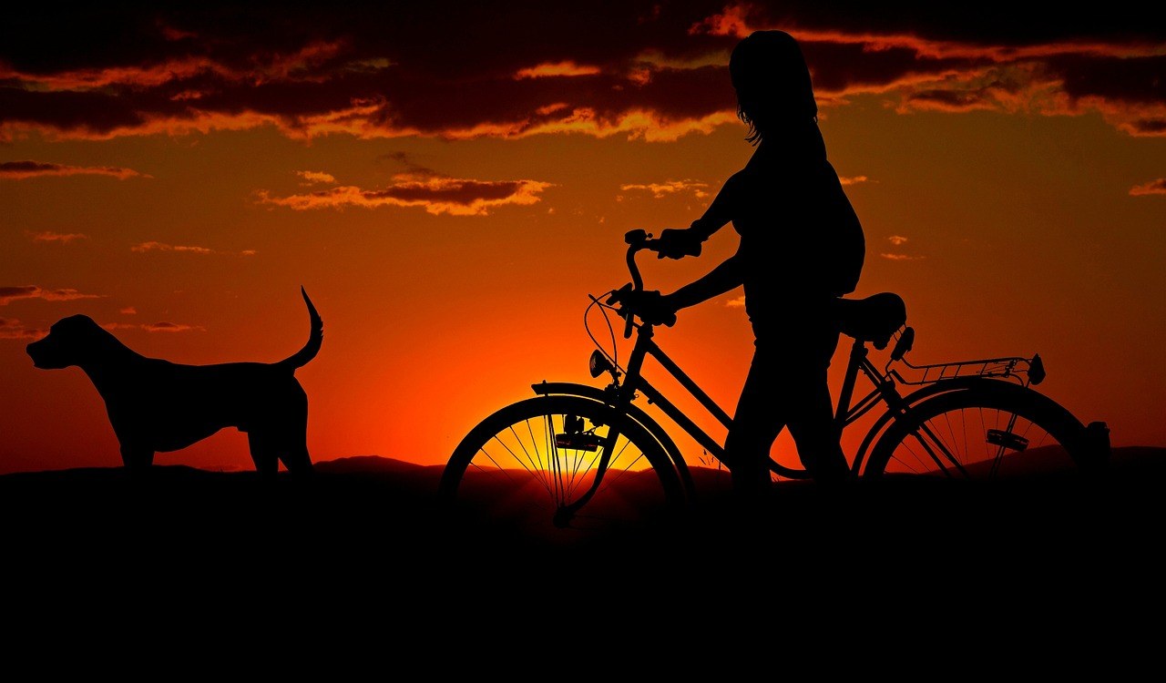Obsessive Love Unpacked - What Drives It, Warning Signs to Watch, and How It Harms