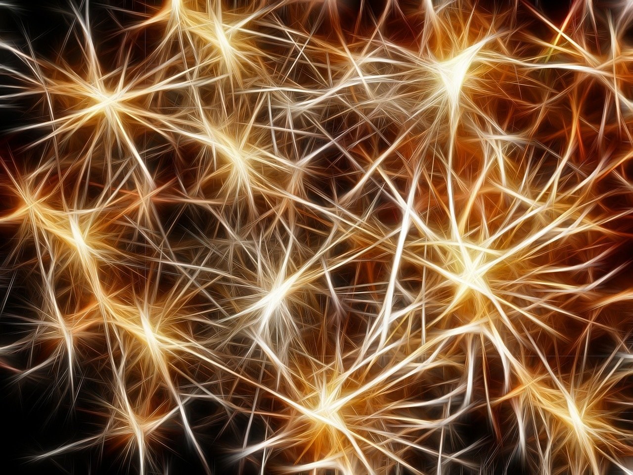 Connection or Independence: How to Decide Whether a Life Partner Fits Your Path