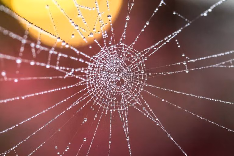When Connection Fades: Subtle Clues Your Heart Has Quietly Drifted Away