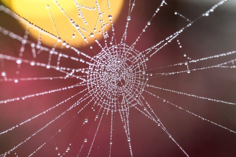 When Connection Fades: Subtle Clues Your Heart Has Quietly Drifted Away
