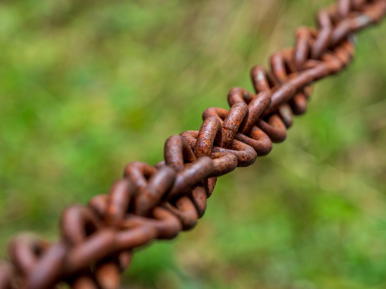 Connection or Independence: How to Decide Whether a Life Partner Fits Your Path