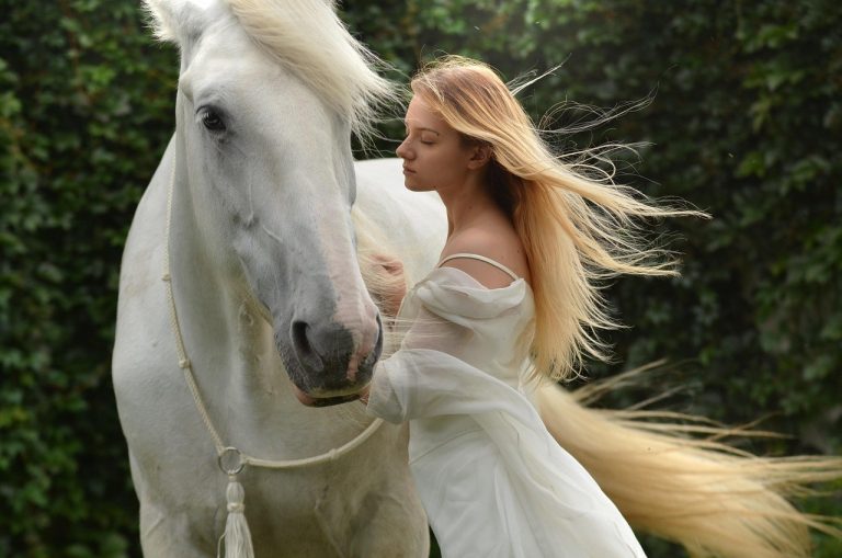 Connection or Independence: How to Decide Whether a Life Partner Fits Your Path