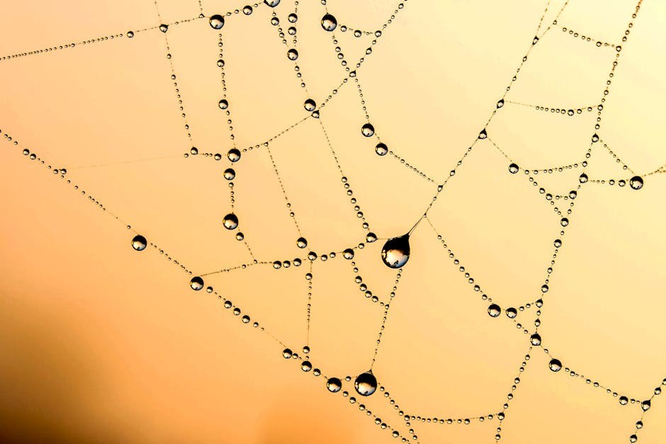 Convenience Over Connection: Why People Opt In, the Real Trade-offs, and Telltale Signs