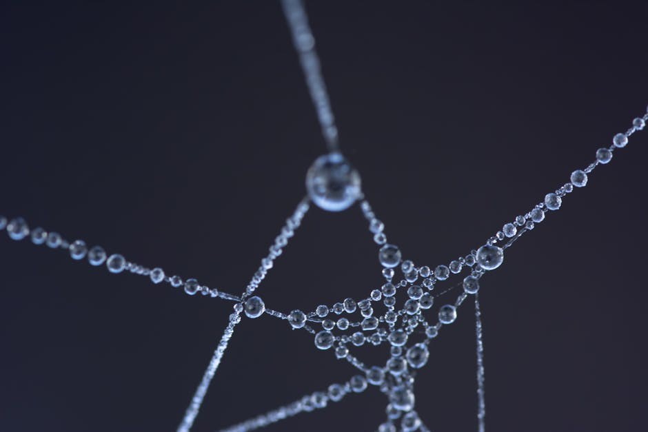 Convenience Over Connection: Why People Opt In, the Real Trade-offs, and Telltale Signs