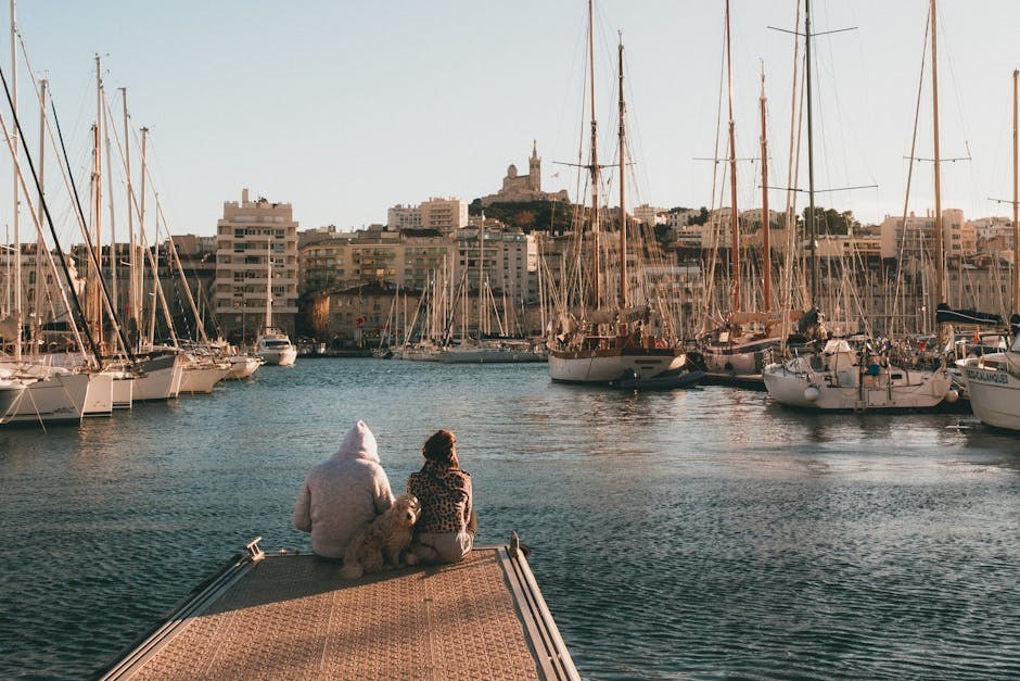 Love, Aligned: Using the Law of Attraction to Call In Your Ideal Partner