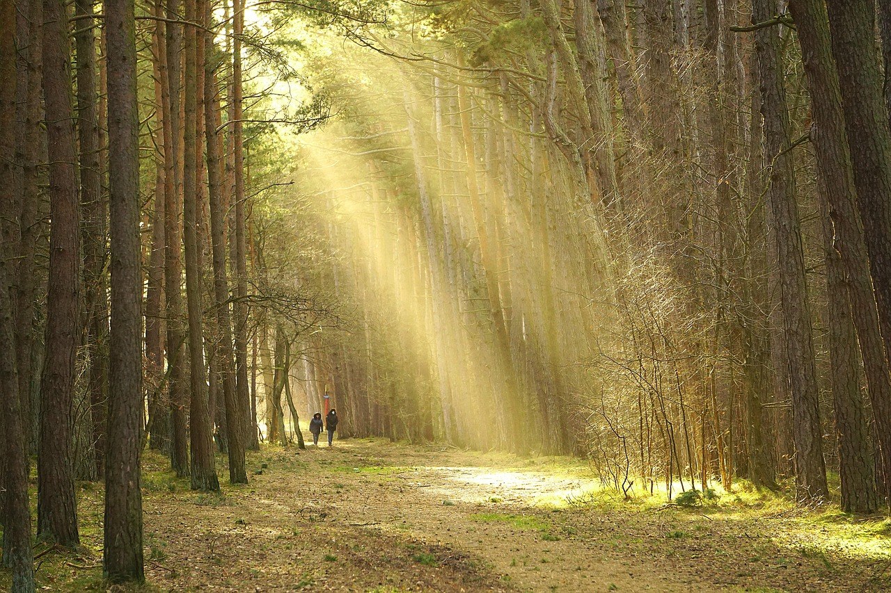 Break the Grip of Fixation: Practical Ways to Move Past a Person