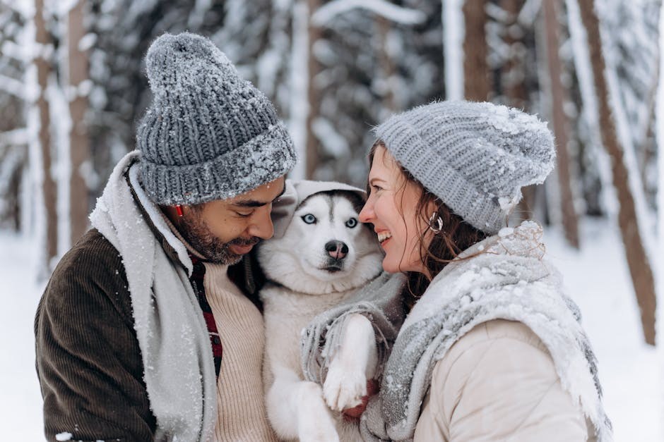 Relationship Arguments: Practical Ways to Fight Fair and Grow Closer