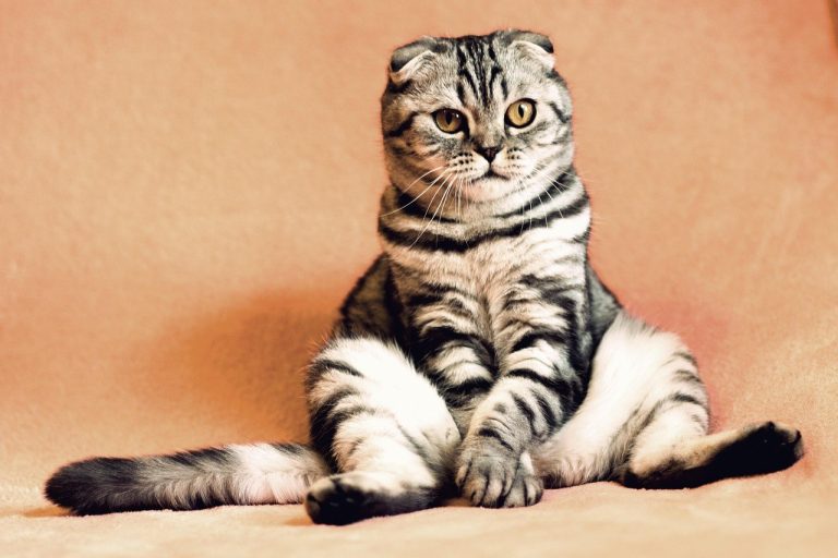 When a Girl Calls You Cute: What She Really Means and How to Read the Signs