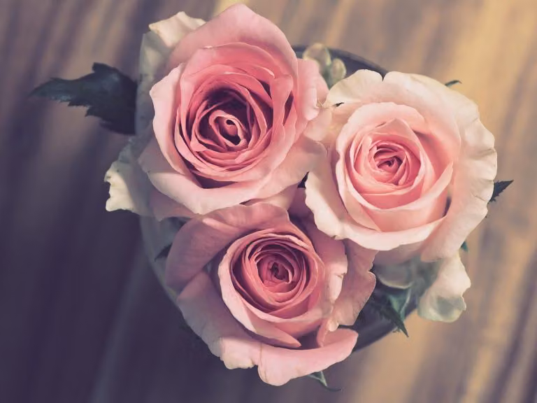 Swoon-Worthy Love Lines from Around the World