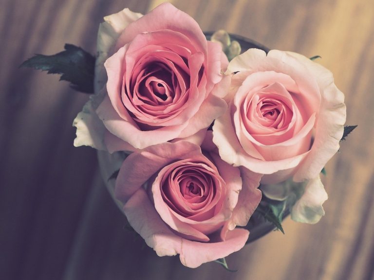 Swoon-Worthy Love Lines from Around the World
