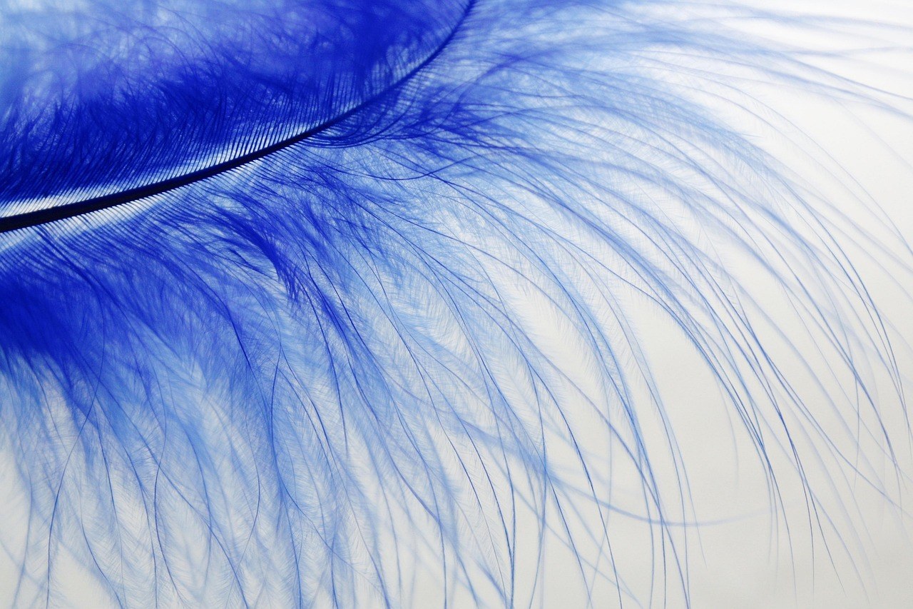 Opening Your Heart: A Gentle Guide to Deeper Intimacy