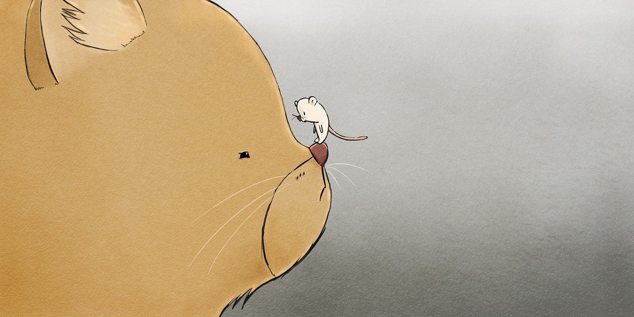 Gentle Ways to Mend a Broken Heart and Feel Whole Again