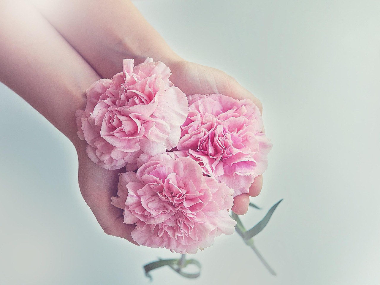 Gentle Shifts to Elevate Your Love Life and Strengthen Partnership