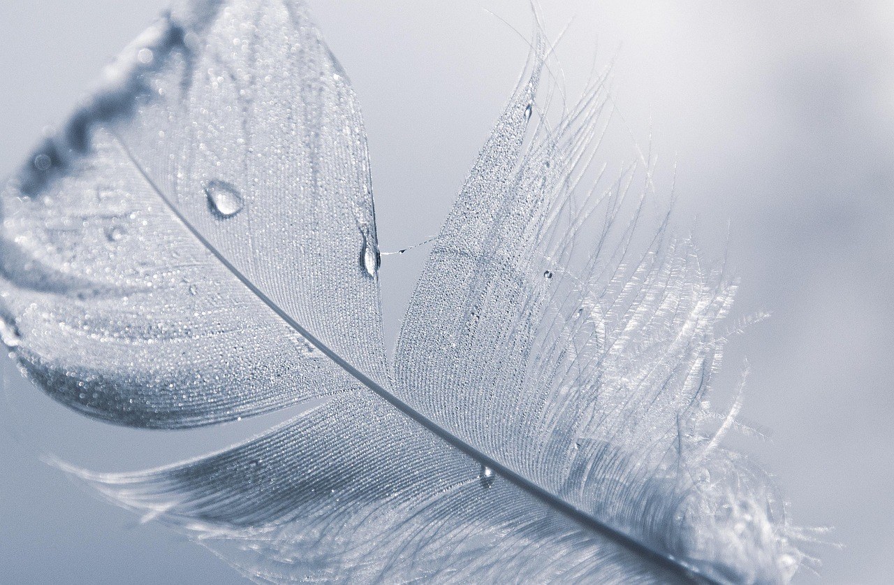 Gentle Ways to Mend a Broken Heart and Feel Whole Again