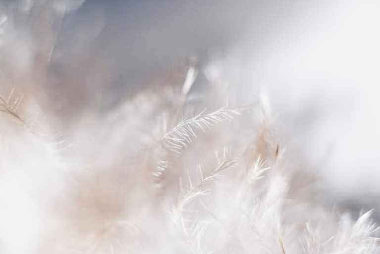 Gentle Daily Moves to Reclaim Yourself After Heartbreak