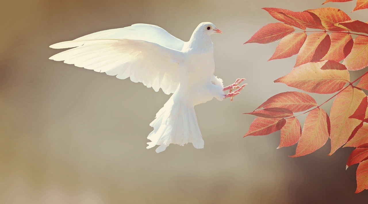 Gentle Shifts to Elevate Your Love Life and Strengthen Partnership