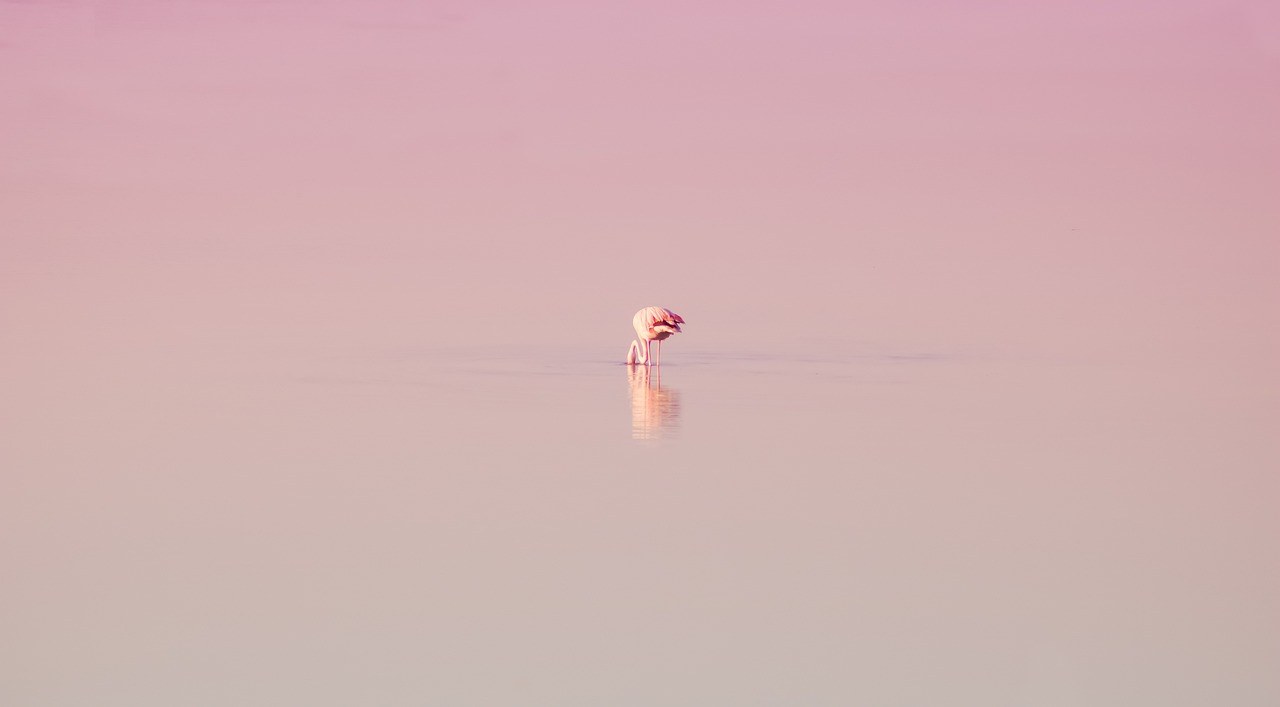 Opening Your Heart: A Gentle Guide to Deeper Intimacy