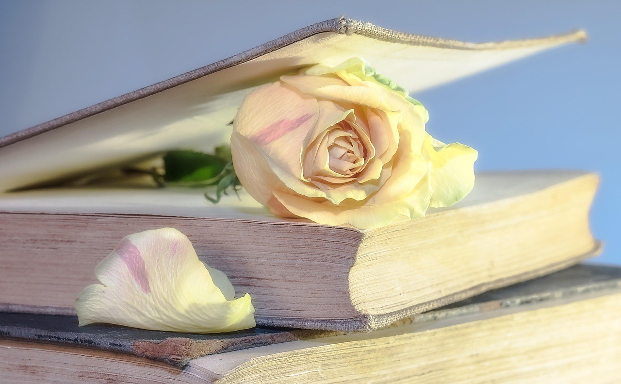 Gentle Ways to Release a Past Relationship and Reclaim Calm
