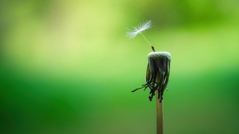 After Heartbreak, Should You Guard or Open Your Heart?