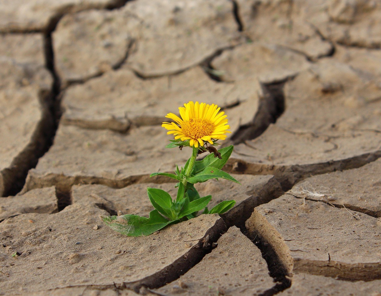 When an Ex Announces Forever: Feelings to Expect and Ways to Cope