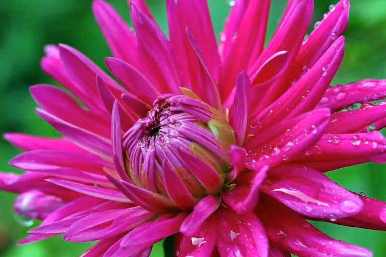 Letting Go With Grace: Heal Your Heart When Love Won’t Stay