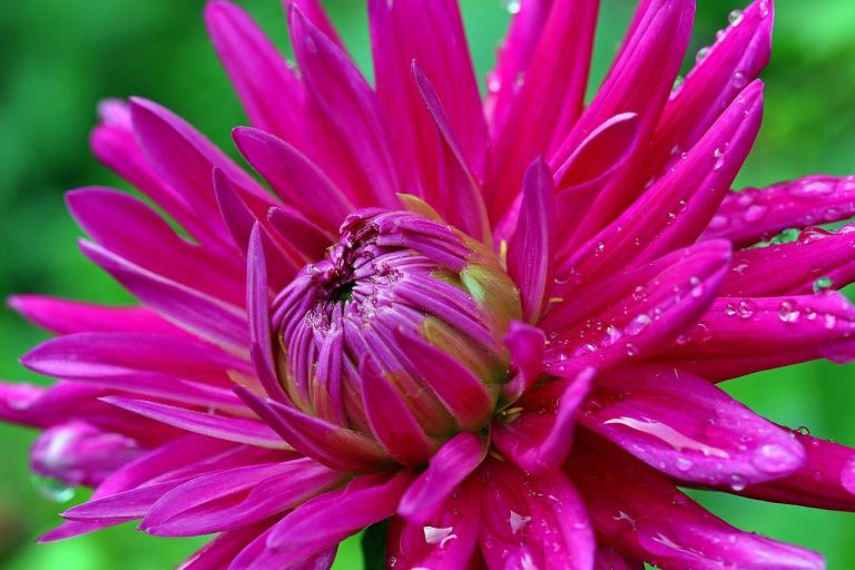 Letting Go With Grace: Heal Your Heart When Love Won’t Stay