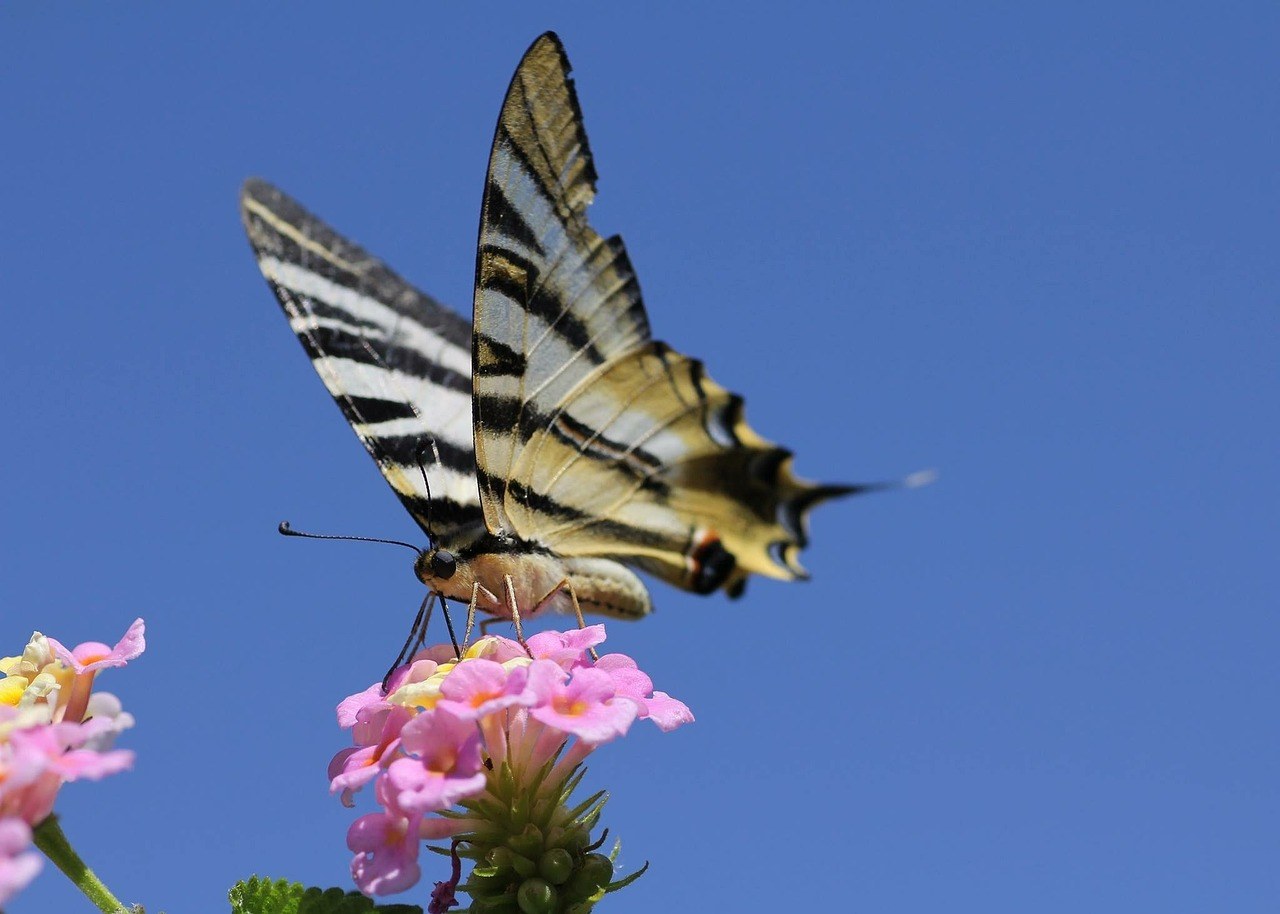 Letting Go With Grace: Heal Your Heart When Love Won’t Stay
