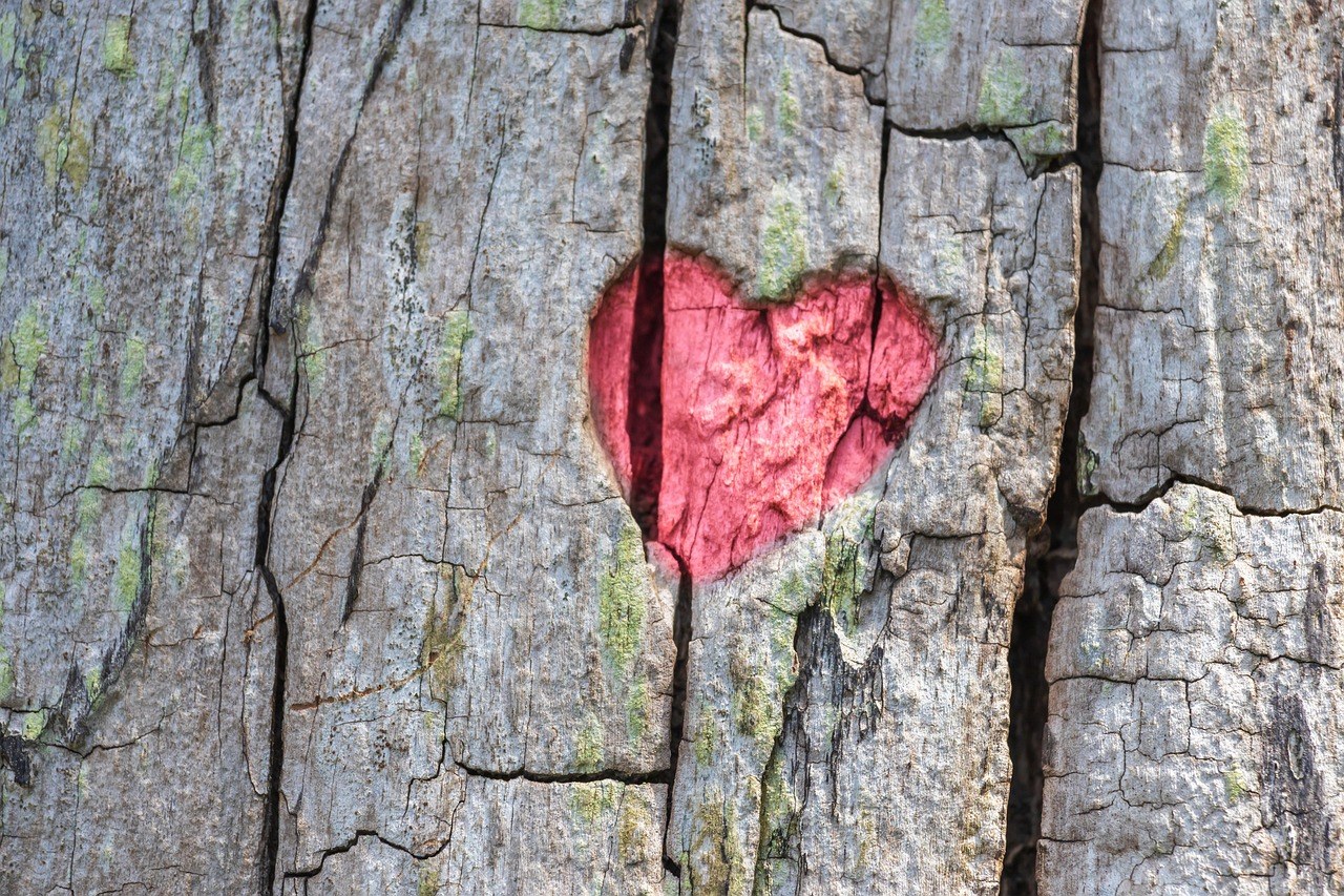 When Love Settles for the Bare Minimum - How to Spot It and Reset the Standard