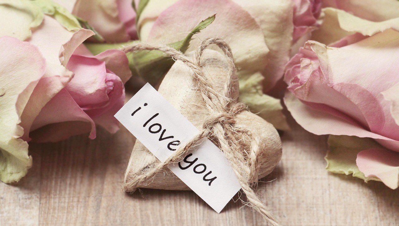 Steady Love Without the Whiplash: Recognize and Grow a Healthy Relationship