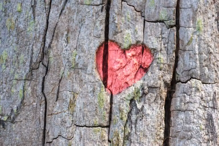Defining Commitment in Love - How to Recognize When It’s Real