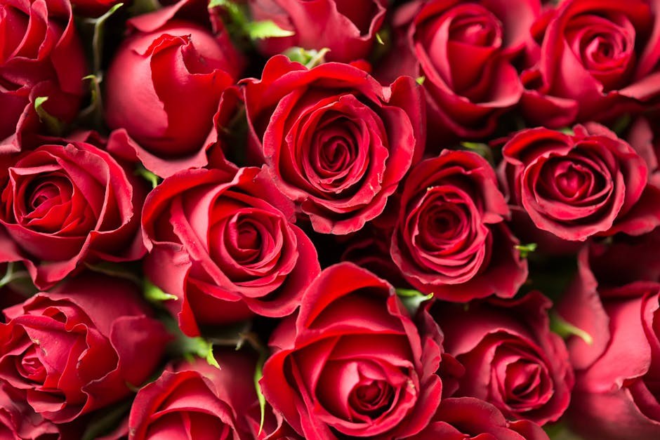 Falling in Love, Explained Without the Fairy Dust