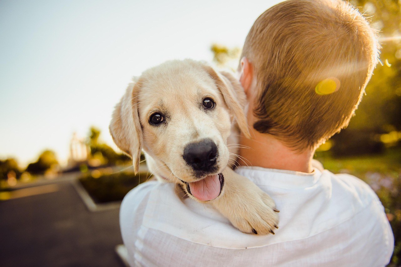 Revenge Reimagined: Healthier Ways to Respond to a Breakup