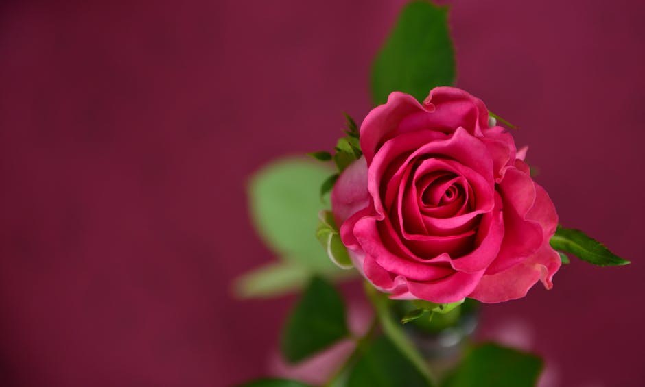 Words of Affirmation that Truly Land: Speak Love with Impact