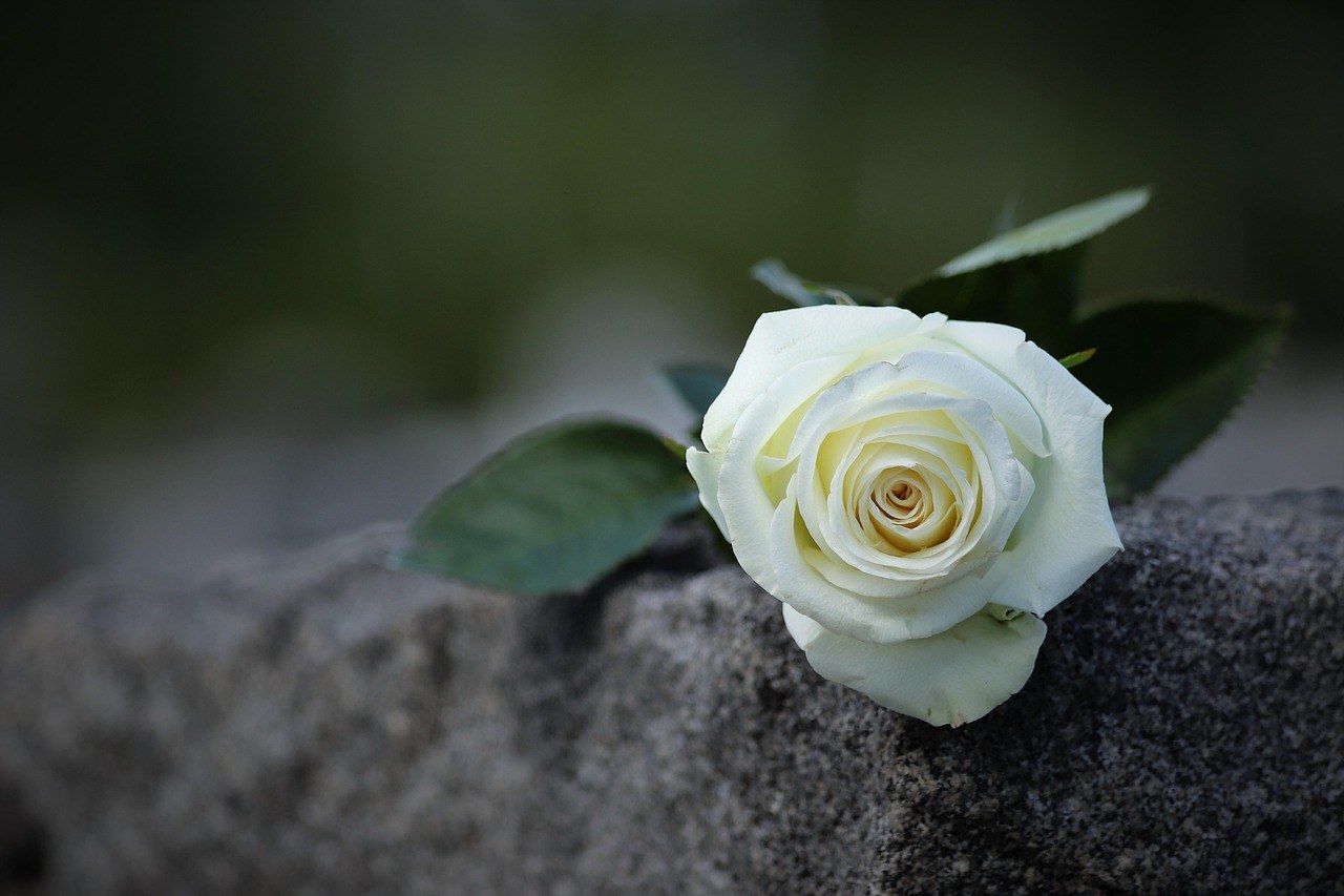 Loving Deeply: How an Empath Navigates Romance and What Partners Should Know