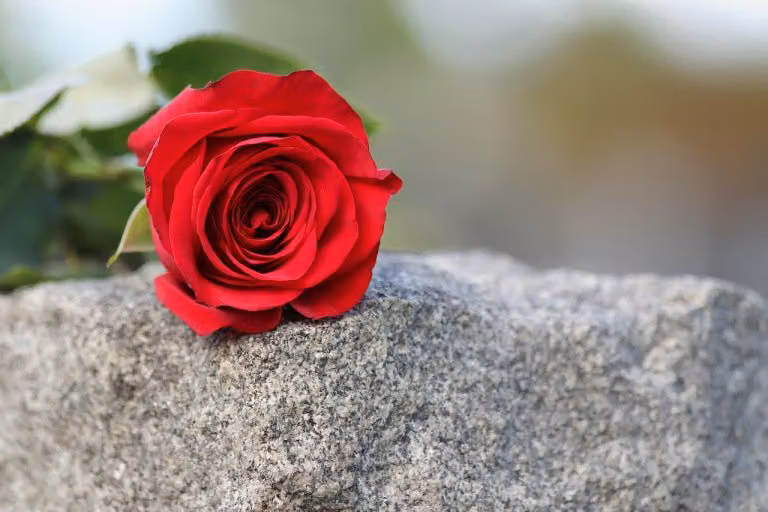 Loving Deeply: How an Empath Navigates Romance and What Partners Should Know