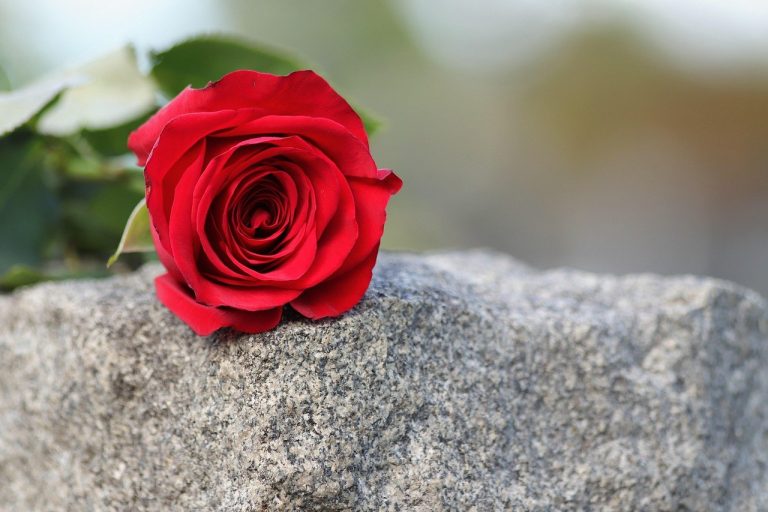 Loving Deeply: How an Empath Navigates Romance and What Partners Should Know
