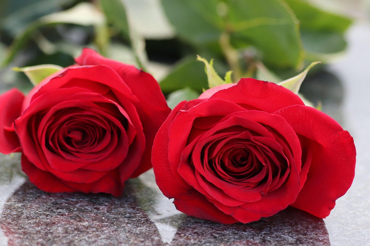 Living With A Narcissistic Spouse: Signs, Impact, And Essential Guidance