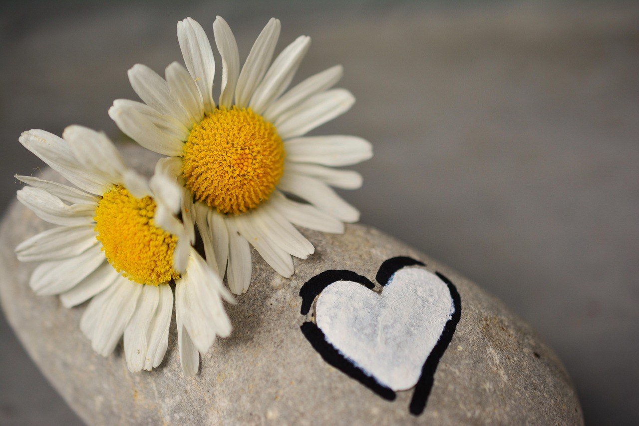 Rekindling Wisely: Start Fresh with a Former Partner Without Reliving the Past