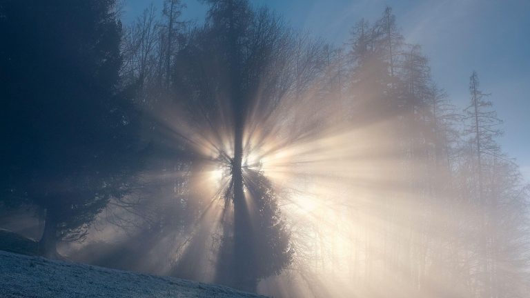 When Hearts Drift: Spot the Distance in Love and Find Your Way Back