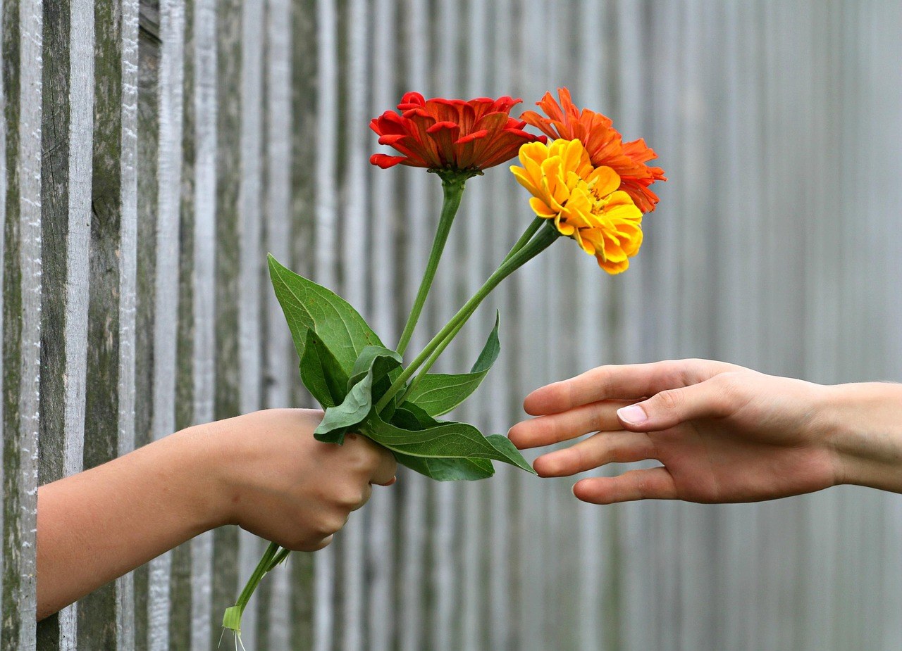 Surviving Heartbreak: Why the Early Days Hurt and Ways to Heal