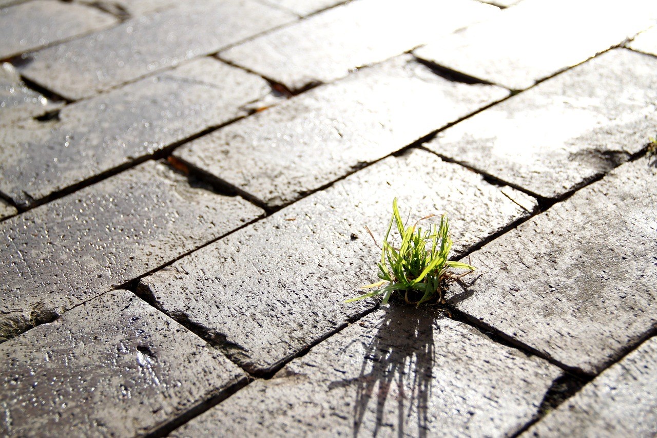 When a Confession Meets Silence - Finding Footing After Vulnerability