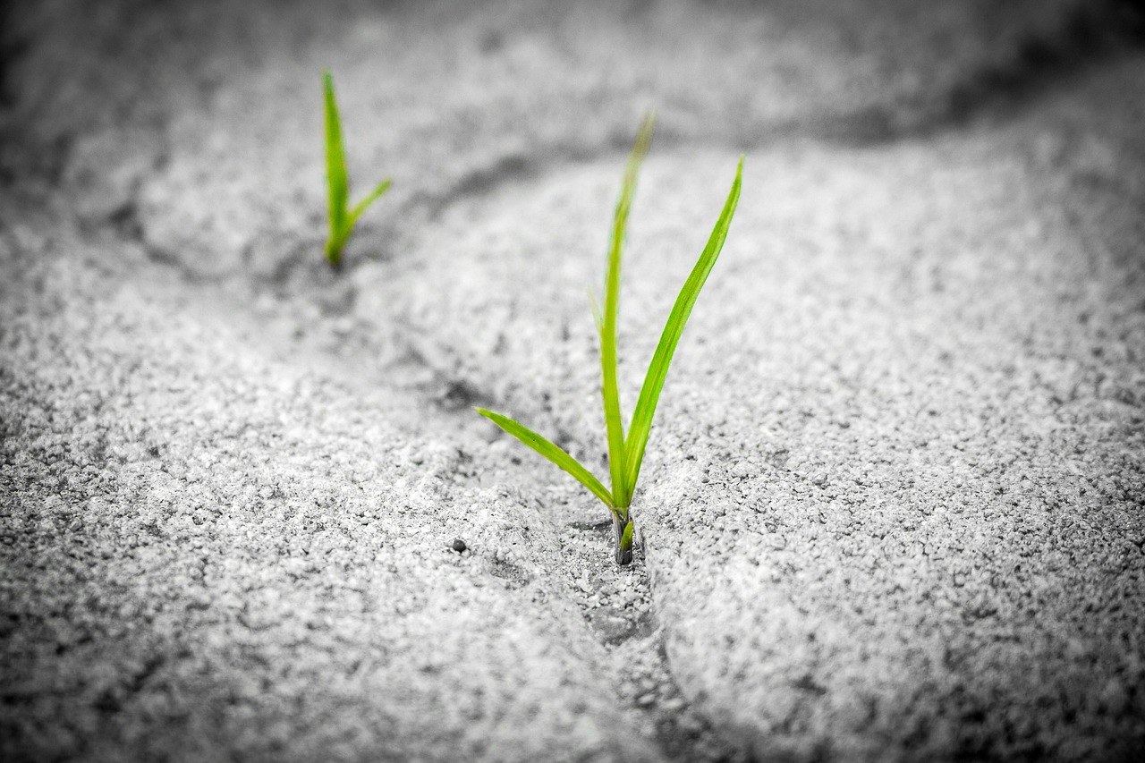 Breakup Quiet: How Strategic Silence Restores Your Balance