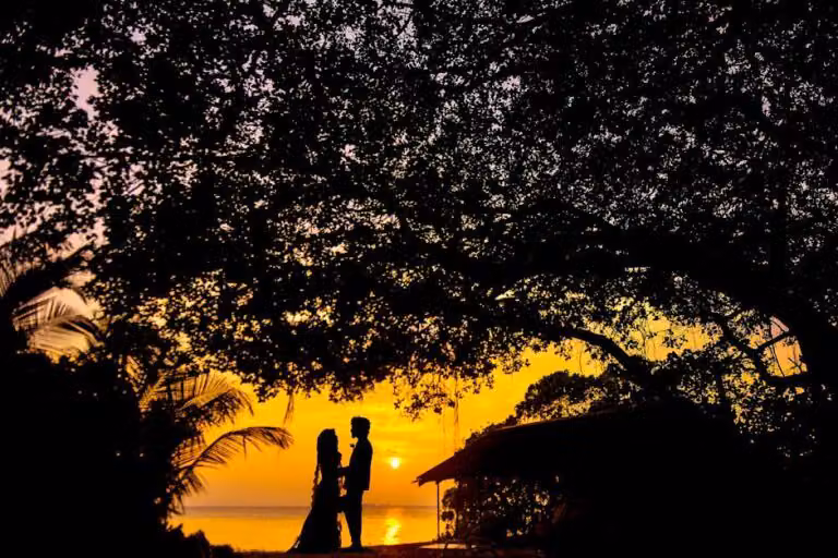 How Romance Happens: Between Serendipity and Biology