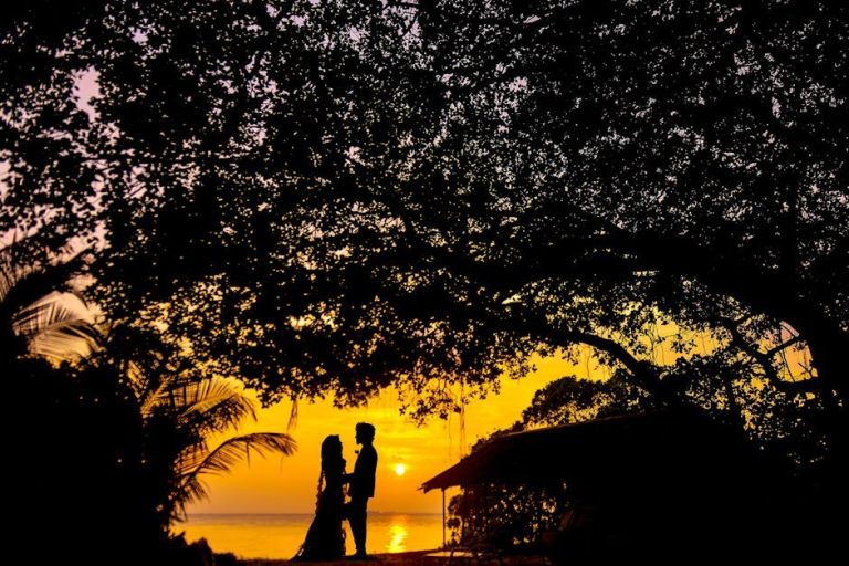 How Romance Happens: Between Serendipity and Biology